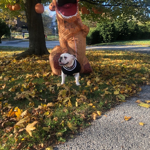 Meet your Posher, Domitilo - Picture 1 of 1